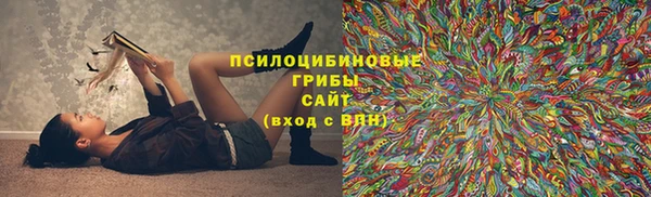 МДПВ Абинск