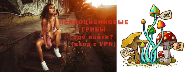 МДПВ Абинск