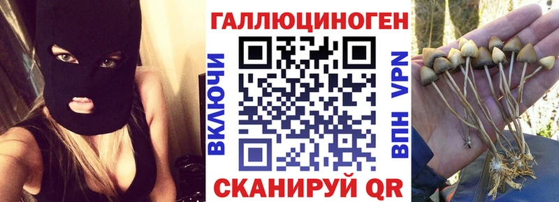 Галлюциногенные грибы мицелий  blacksprut ссылки  Юрюзань  где купить наркотик 